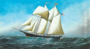 Brig
Malek-adehl by Antonio Nicolo Gasparo Jacobsen