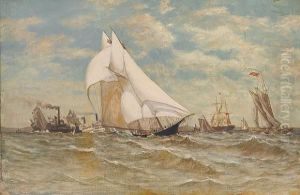 A Regatta Off Sandy Hook