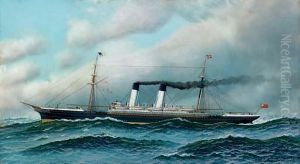 The National Line's Steamer America by Antonio Nicolo Gasparo Jacobsen