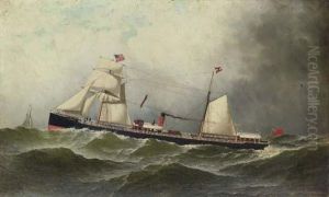 The S.s. Bermuda