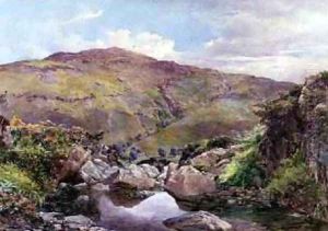 The Hill Stream 1859 by Paul Jacob Naftel