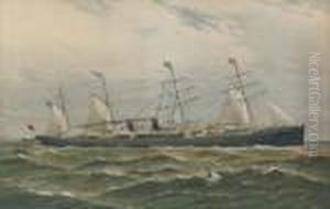 The Ss. Arizona by Antonio Nicolo Gasparo Jacobsen