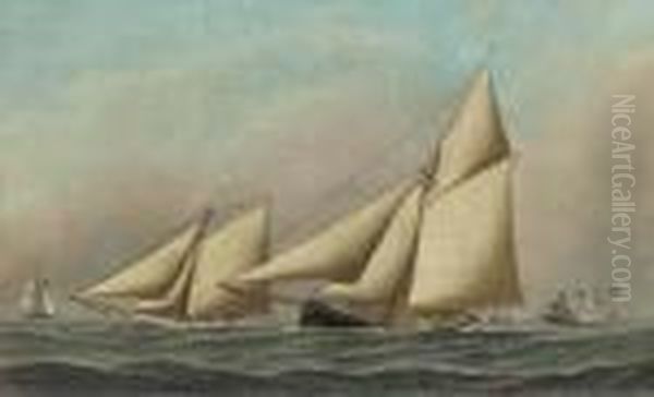 Mayflower And Galatea Neck And Neck During The America's Cup Raceof 1886; The First Race - view 1