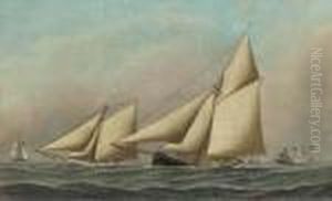 Mayflower And Galatea Neck And Neck During The America's Cup Raceof 1886; The First Race by Antonio Nicolo Gasparo Jacobsen