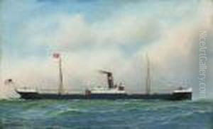 ''m.s. Dollar'' by Antonio Nicolo Gasparo Jacobsen