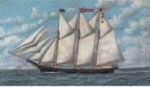 Schooner Olive by Antonio Nicolo Gasparo Jacobsen