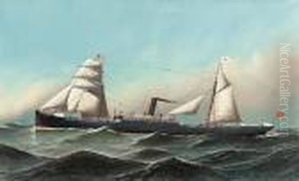 The Steam Sail Ship Critic - view 1