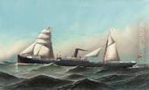 The Steam Sail Ship Critic by Antonio Nicolo Gasparo Jacobsen