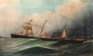 S.s. Rotterdam Ii S.s. Rotterdam Ii