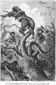 The Octopus Attacking the Nautilus The Octopus Attacking the Nautilus