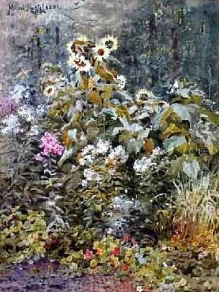 Birchs Garden Betwsycoed - view 1