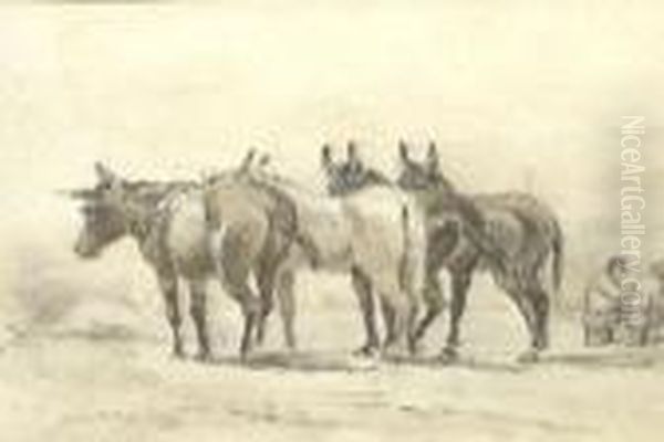 'anes Et Personnages' - view 1