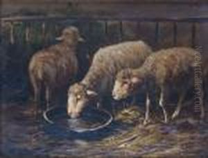 Les Trois Moutons Les Trois Moutons