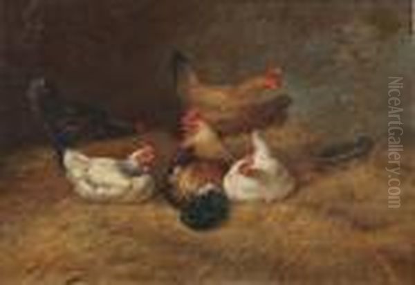 Cockerels And Chickens In The Hay - view 1
