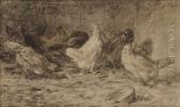 Poules - view 1