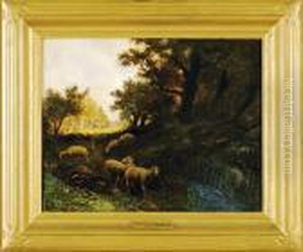 Sheep In Country Landscape - view 1