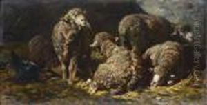 Moutons Dans La Bergerie