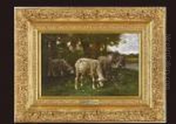 Sheeps At The Meadow - view 1