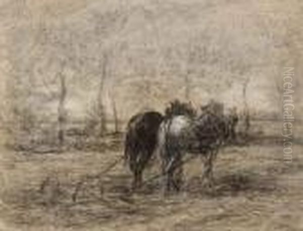 Chevaux De Trait - view 1