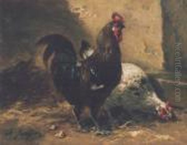 Coq Et Poule - view 1