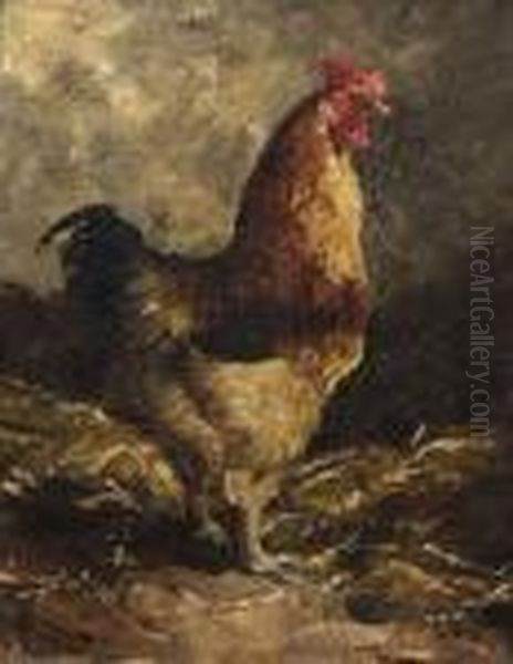 Jacques - La Poule - view 1