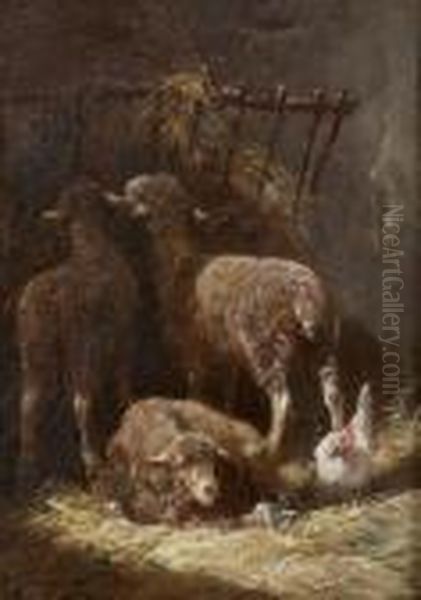 Moutons Et Poules - view 1
