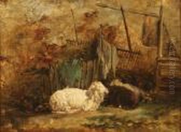 The Sleeping Sheep - view 1