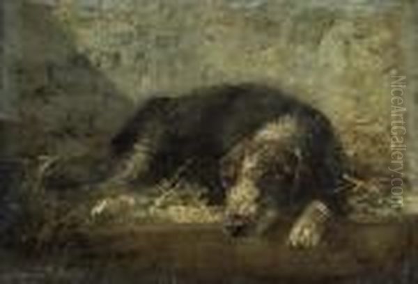 Schlafender Hund. - view 1