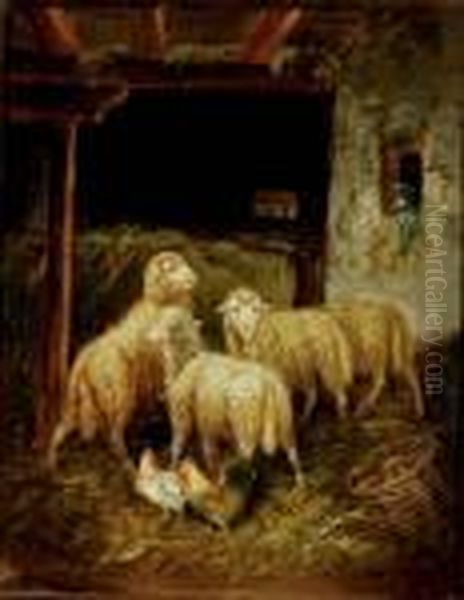 Sheep And Roosters In A Barn - view 1