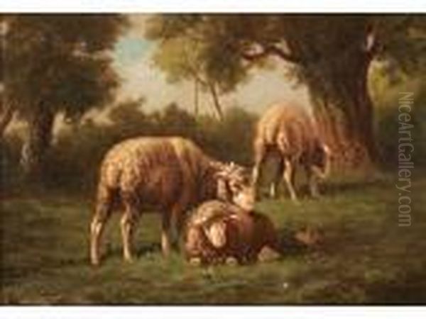 Moutons Au Paturage - view 1