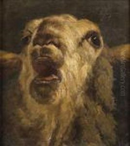 Mouton Mouton