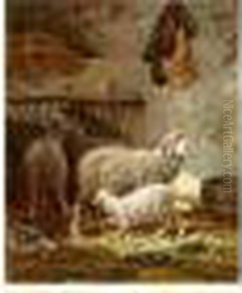 Moutons Dans Une Etable - view 1
