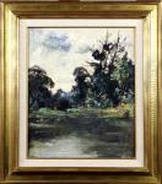 Etang Arbore - view 1