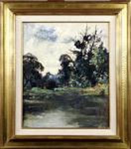 Etang Arbore by Armand Jamar