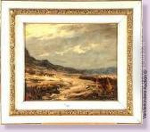 Paysage - view 1