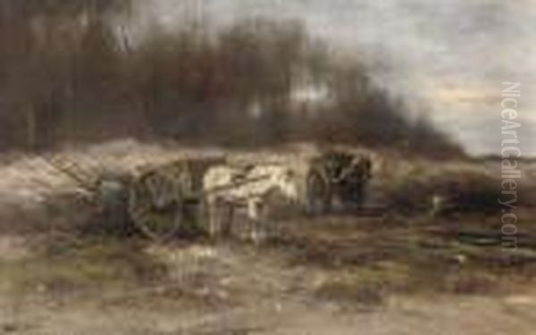 Gathering Wood - view 1