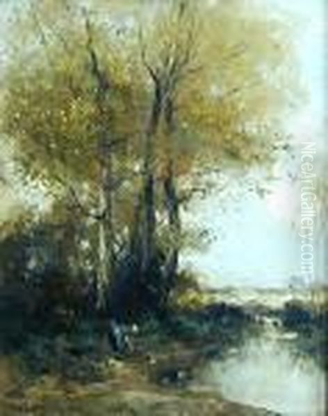 Landscape - view 1