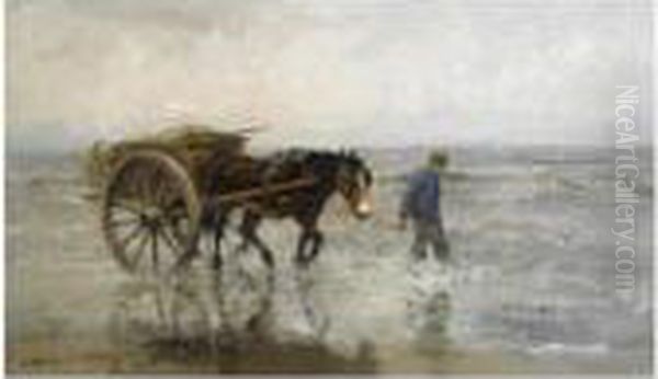 A Shell Fisher In The Breakers - view 1