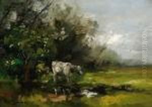 A Cow Near A Pond A Cow Near A Pond