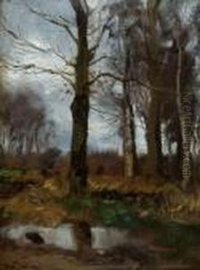View Of A Forrest by Willem George Fred. Jansen