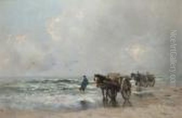 Harvesting The Sea - view 1