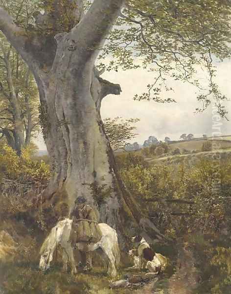 The Edge of the wood - view 1