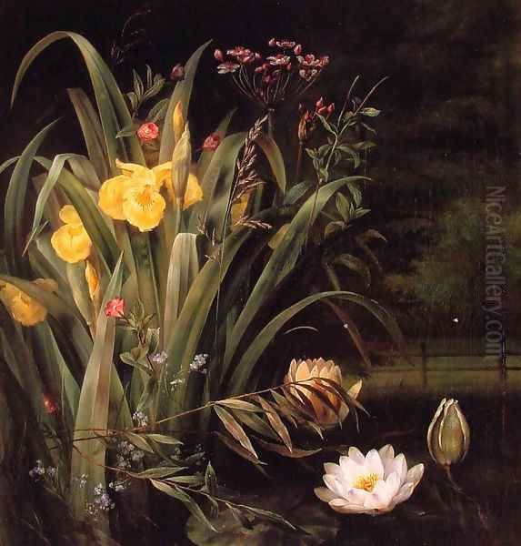 A Lily Pond - view 1