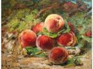Nature Morte Aux Peches Nature Morte Aux Peches