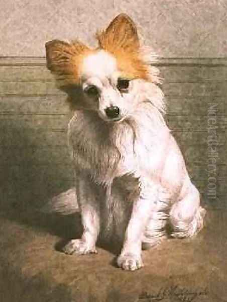 Toy Dog 1884 - view 1
