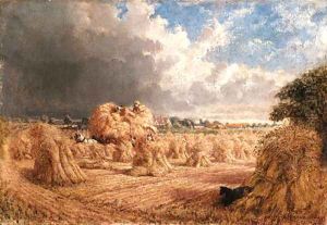 Harvesting by Robert Nightingale