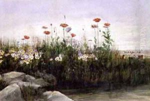 Bank of Summer Flowers 2 by Andrew Nicholl