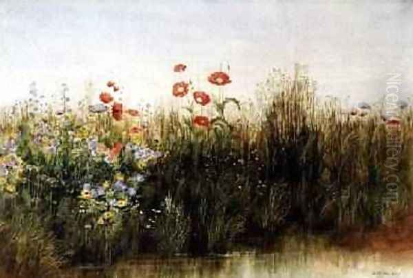 Wild Flowers by a Stream - view 1