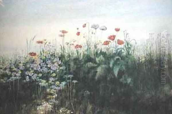 Irish Wildflowers - view 1