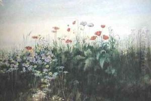 Irish Wildflowers by Andrew Nicholl